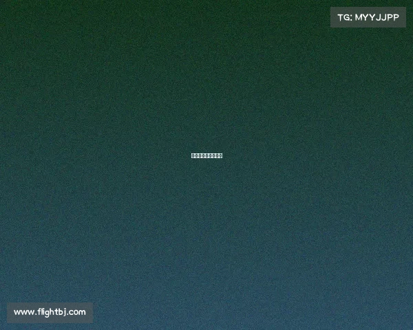 电竞双排是什么意思